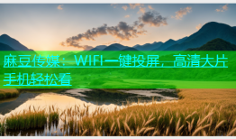 麻豆传媒：WIFI一键投屏，高清大片手机轻松看