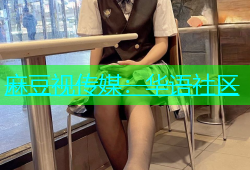 麻豆视传媒：华语社区