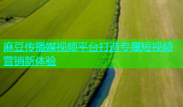 麻豆传播媒视频平台打造专属短视频营销新体验