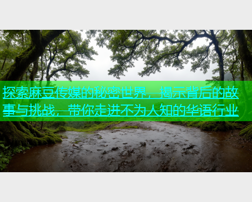 探索麻豆传媒的秘密世界，揭示背后的故事与挑战，带你走进不为人知的华语行业