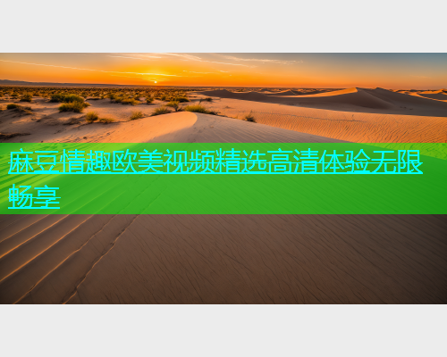 麻豆情趣欧美视频精选高清体验无限畅享